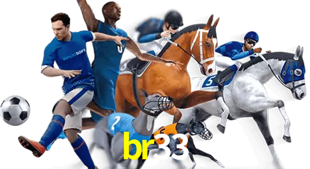 br33