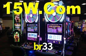 br33 login