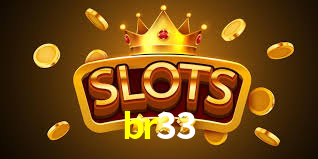 br33