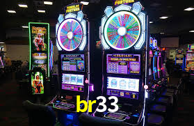 br33